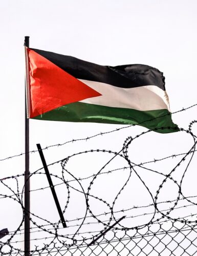View,Of,Palestinian,Flag,Behind,Barbed,Wire,Against,Cloudy,Sky.